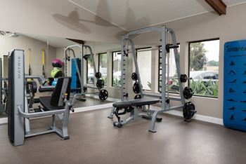 Modern fitness center
